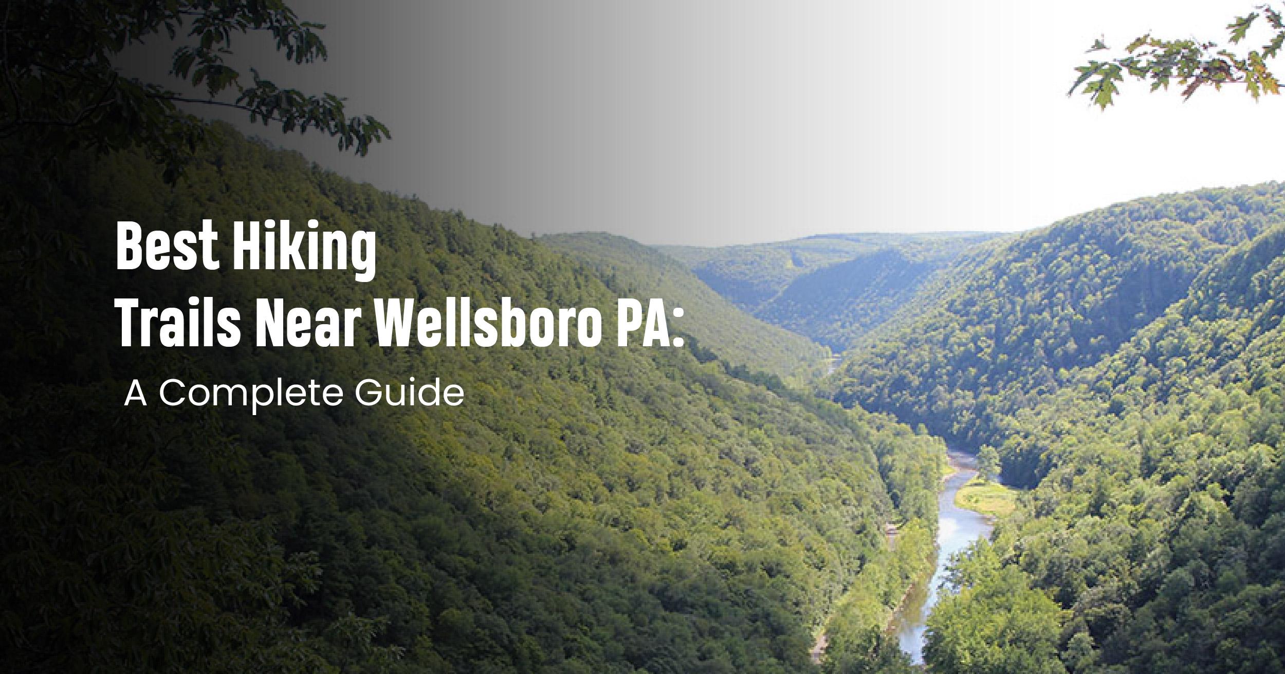 Best Hiking Trails Near Wellsboro PA: A Complete Guide